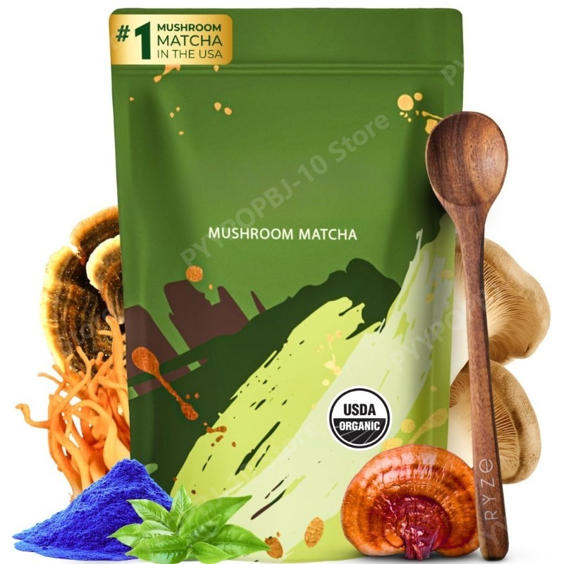 Lion Mane Mushroom - Suplemento Orgánico de Matcha con Ganoderma
