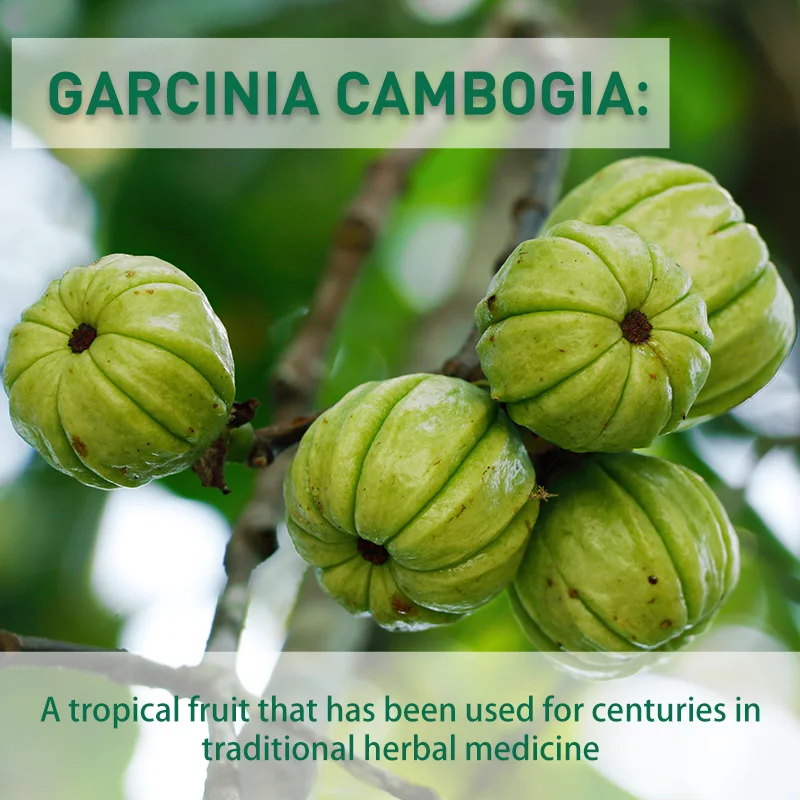 Cápsulas de Garcinia Cambogia: - Garcinia Cambogia Extract reseña y precio